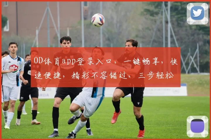 OD体育app登录入口，一键畅享，快速便捷，精彩不容错过，三步轻松登录，体验非凡
