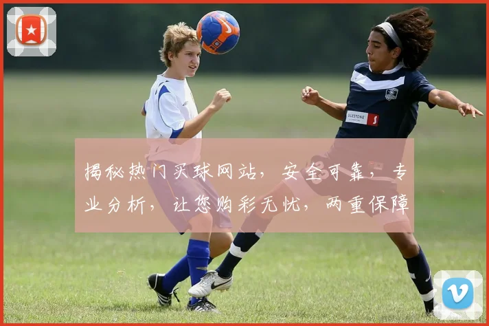 揭秘热门买球网站，安全可靠，专业分析，让您购彩无忧，两重保障，值得信赖