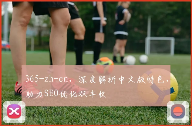 365-zh-cn，深度解析中文版特色，助力SEO优化双丰收