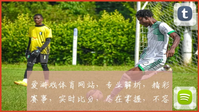 爱游戏体育网站，专业解析，精彩赛事，实时比分，尽在掌握，不容错过